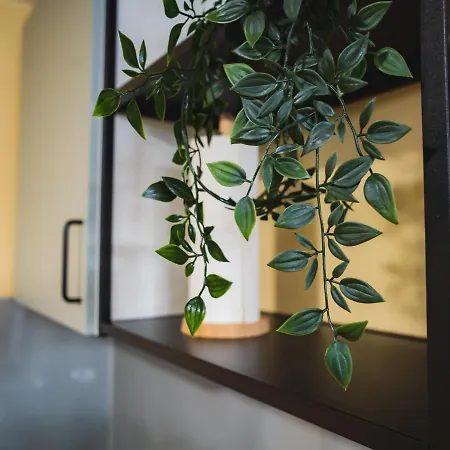 Апартаменты Gin&tonic *