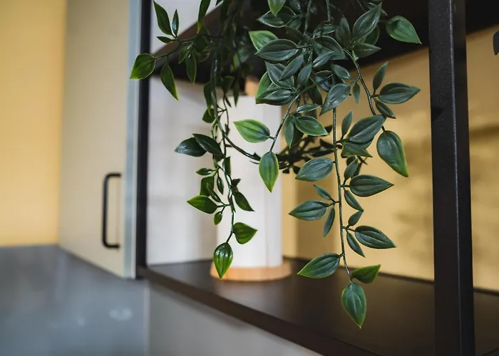 아파트 Gin&tonic *